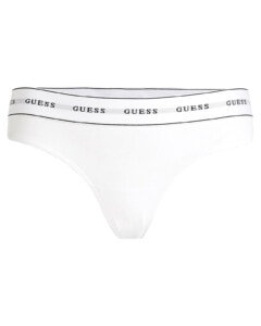 Guess brief